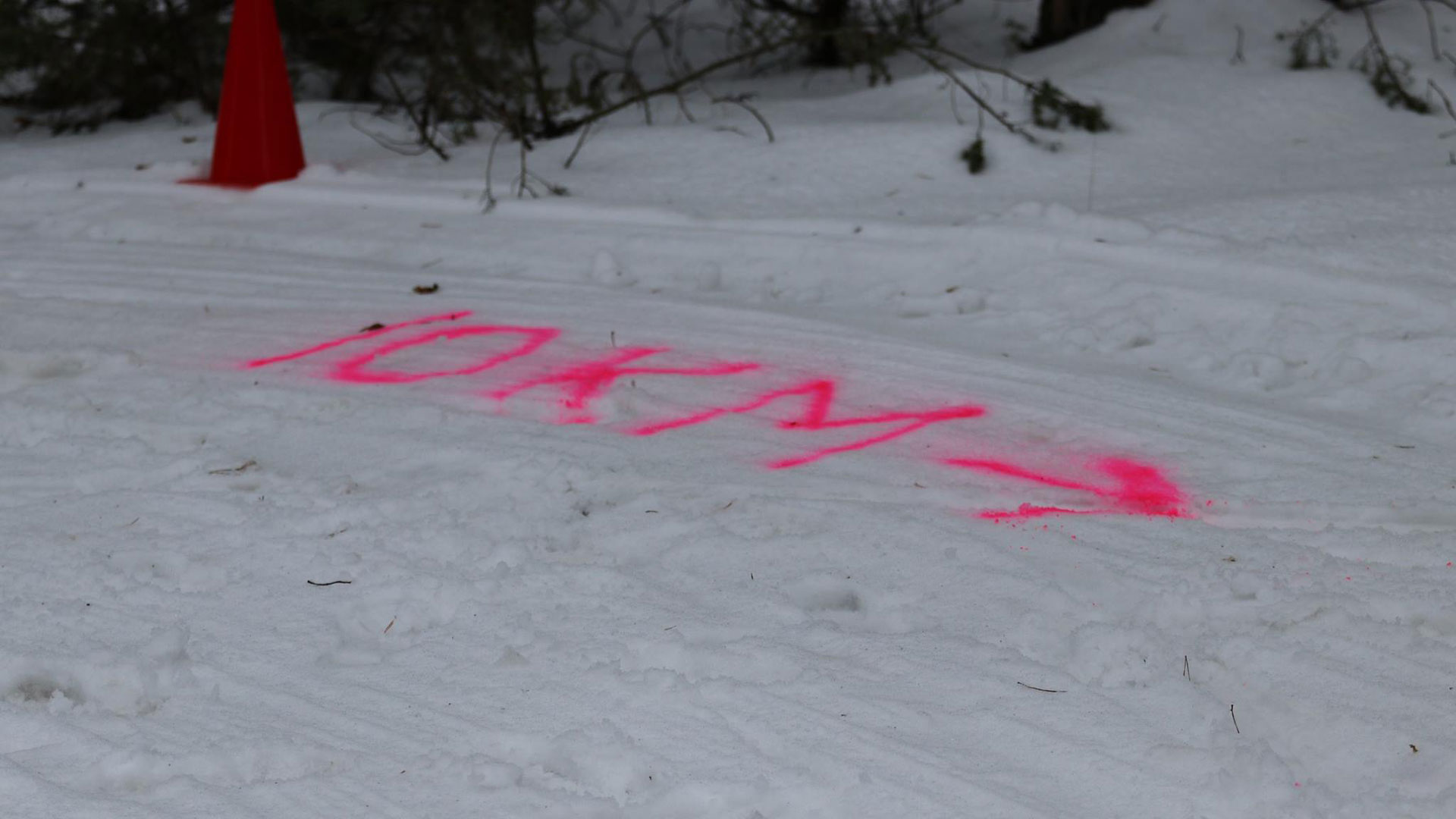 Misko trasa druskininkai